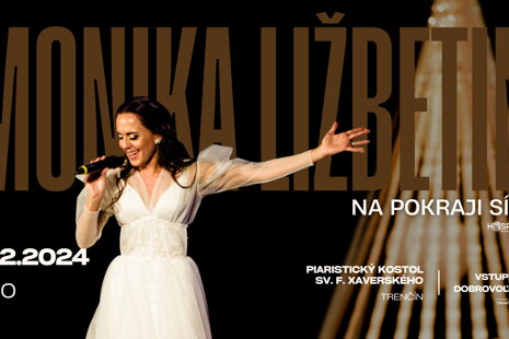 VIANOČNÝ BENEFIČNÝ KONCERT - NA POKRAJI SÍL